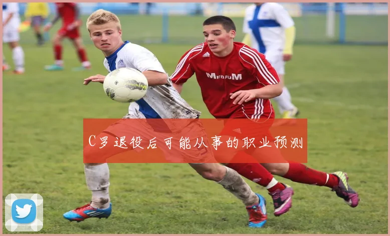 C罗退役后可能从事的职业预测